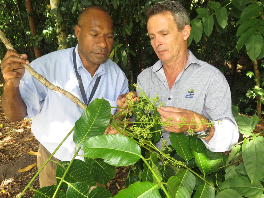 Lae-Botanic-Gardens-Curator-Michael-Lovave-explores-the-Cairns-Botanic-Gardens-with-his-Cairns-counterpart-David-Warmington._2