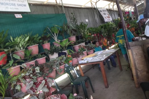 Lae-Botanic-Gardens-Staff_Morobe-Show.jpg