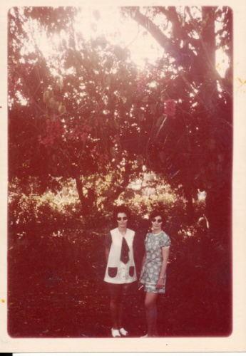 Sisters Helen Cornish and Bev Melrose (Ringuet) Botanical Gardens Lae 1972_Bev Melrose.jpg